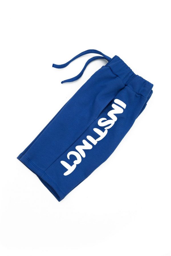 The Basic Instinct Jogger Shorts