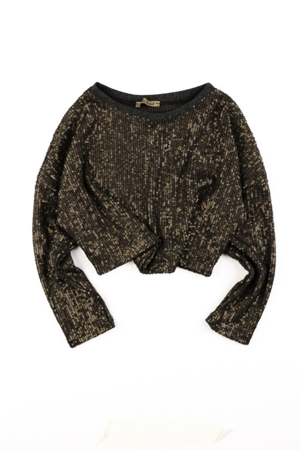 The Bronze Sequin Long Crop Top