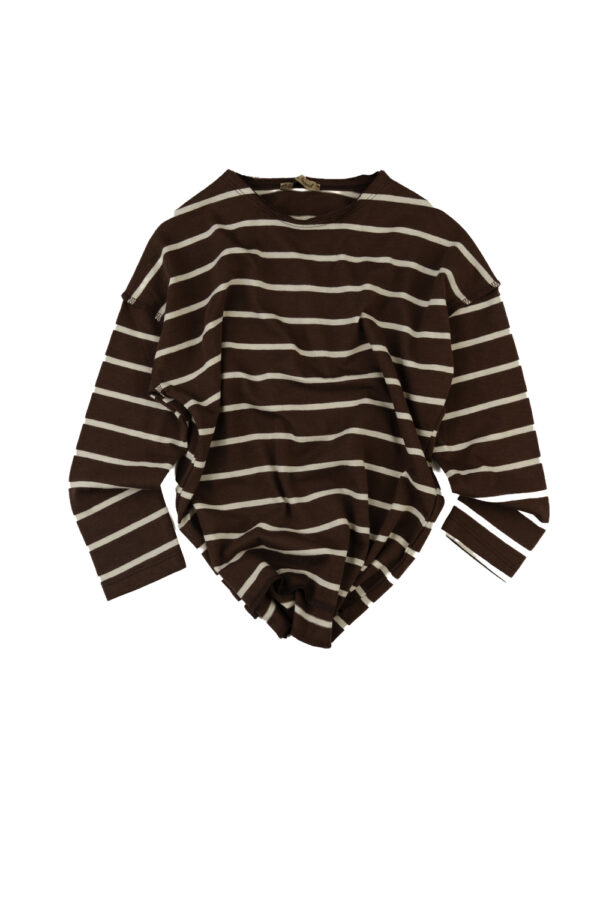 The Walnut College LongS T Shirt