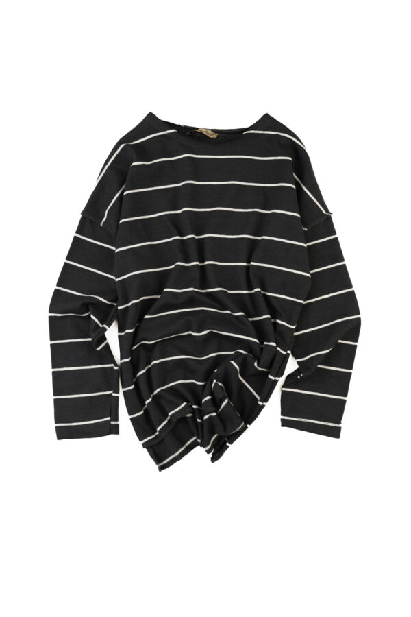 The Anthracite College LongS T Shirt