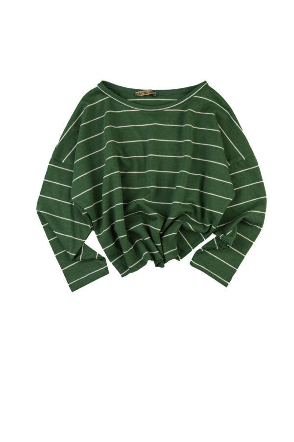 The Green College Crop LongS Top