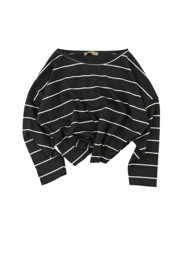 The Anthracite College LongS Top